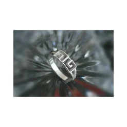 Ring Silber 925 Silberschmuck (VD)