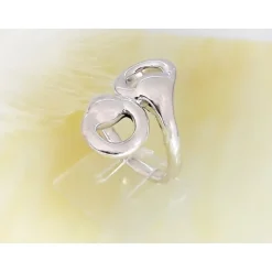 Ring Silber 925 Silberschmuck SR66
