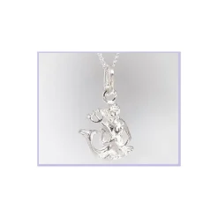 Sternzeichen Wassermann Anhänger Silber 925 HK